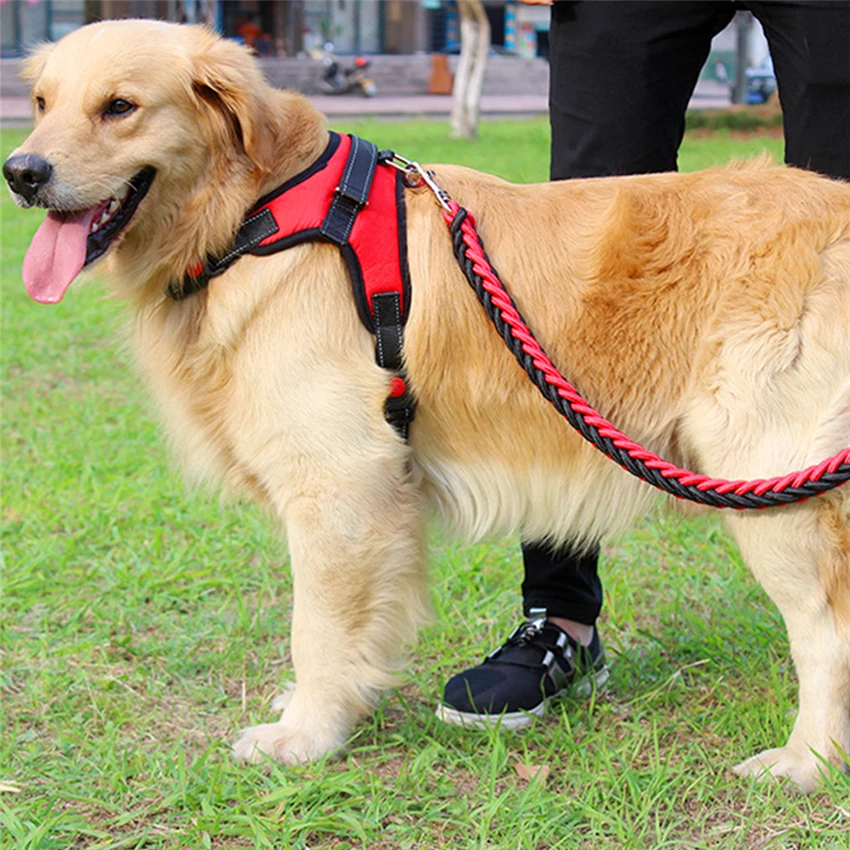 german shepherd tactical dog harness
