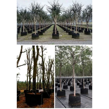 Potato Planting Bag Black Thickened Non-woven Planting Tree Bag Seedling Growing Pots Firm Durable Beautiful Home Garden Tools
Potato Planting Bag Black Thickened Non-woven Planting Tree Bag Seedling Growing Pots Firm Durable Beautiful Home Garden Tools