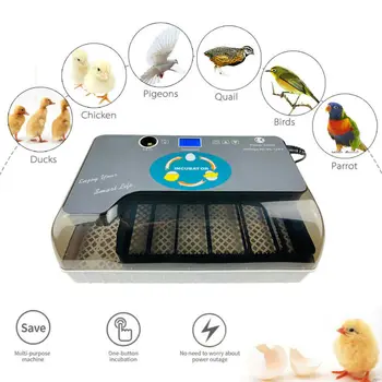 2020 Farm Hatchery Incubator Brooder Machine 4-35 Egg Hatchers Cheap Price Chicken Automatic Eggs Incubator Bird Quail Brooder
2020 Farm Hatchery Incubator Brooder Machine 4-35 Egg Hatchers Cheap Price Chicken Automatic Eggs Incubator Bird Quail Brooder