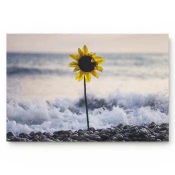 Sunflower Sea Beach Waves Living Room Doormat Home Environmental Protection Bathroom Door Non-slip Floor Mat
Sunflower Sea Beach Waves Living Room Doormat Home Environmental Protection Bathroom Door Non-slip Floor Mat