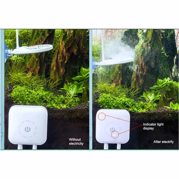 3th Generation Doctor Algae Remove Electronic Device Inhibit Algae Strong Sterilization Device Aquarium Fish Shrimp Clean Tank
3th Generation Doctor Algae Remove Electronic Device Inhibit Algae Strong Sterilization Device Aquarium Fish Shrimp Clean Tank