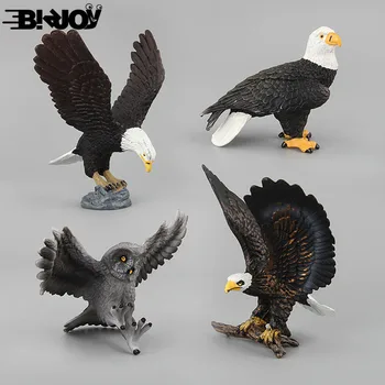 Simulation Wild Animal Owl Fly Eagle PVC Model Home Decoration Raptor Series Set Action Figure Figurine Kid Children Toys Gifts
Simulation Wild Animal Owl Fly Eagle PVC Model Home Decoration Raptor Series Set Action Figure Figurine Kid Children Toys Gifts