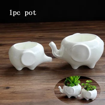 1PC Cartoon Fleshy Pots Bone China Pots Bottom Home Decor Gifts White Porcelain Animals Elephant Ceramic Pots Ultra-Q Small
1PC Cartoon Fleshy Pots Bone China Pots Bottom Home Decor Gifts White Porcelain Animals Elephant Ceramic Pots Ultra-Q Small