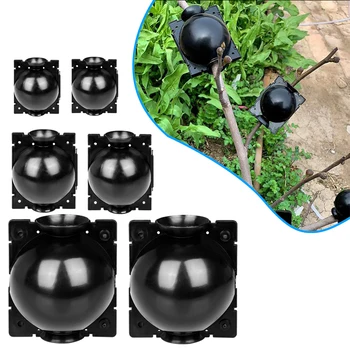 6pcs Planting Rooting Device Reusable Plant Root Growing Box Rooter Pot High Pressure Propagation Ball Box for Plants Growing Br
6pcs Planting Rooting Device Reusable Plant Root Growing Box Rooter Pot High Pressure Propagation Ball Box for Plants Growing Br