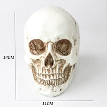 Caveira resina artesanato halloween decoração escultura estátua adequado para decoração barra filme adereços maquiagem casa decorações(China)