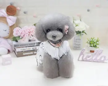 Spring and Summer New Pet Dog Princess Dress Costume Korean Teddy Bear Butterfly Dream Skirt XS-XL 
Spring and Summer New Pet Dog Princess Dress Costume Korean Teddy Bear Butterfly Dream Skirt XS-XL