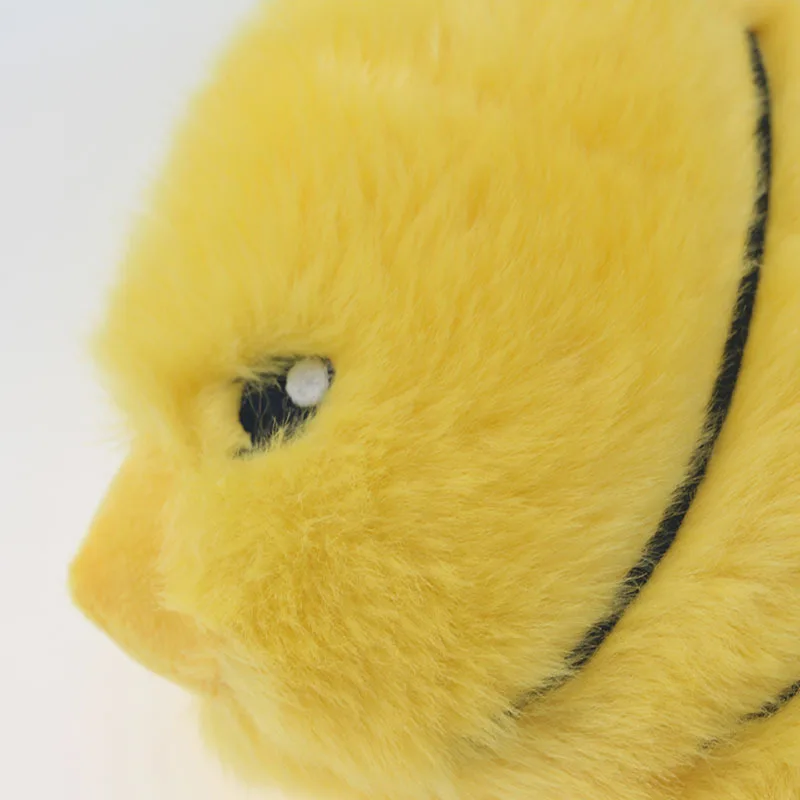 dog toys