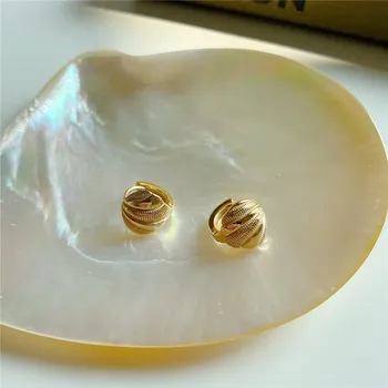 RUIYI Real 925 Sterling Silver Women Geometric Stud Earring Girl Vintage Shell Fashion Chic Gold Earrings Simple Niche Ear Studs 
RUIYI Real 925 Sterling Silver Women Geometric Stud Earring Girl Vintage Shell Fashion Chic Gold Earrings Simple Niche Ear Studs