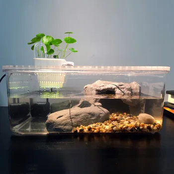Aquarium Reptile Bredding Box Tortoise Tank Kit Turtle Habitat Tank Fish Tank Mini Tank Desktop Mini Accessories Pet Decoration
Aquarium Reptile Bredding Box Tortoise Tank Kit Turtle Habitat Tank Fish Tank Mini Tank Desktop Mini Accessories Pet Decoration