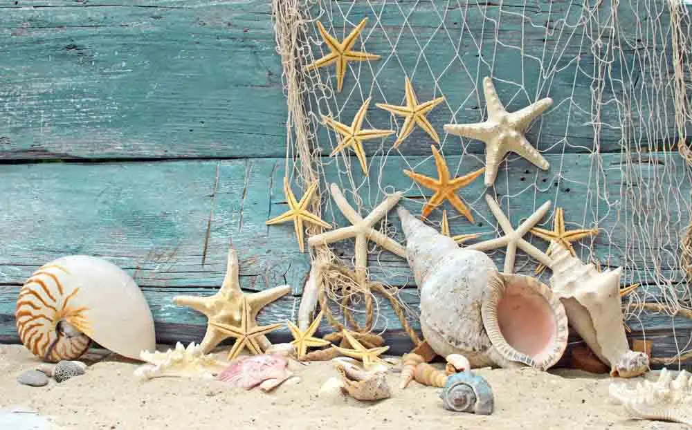 SHENGYONGBAO Vinyl Custom Photography Backdrops Prop Starfish Fishing net theme Photo Studio Background TW19912-3651
SHENGYONGBAO Vinyl Custom Photography Backdrops Prop Starfish Fishing net theme Photo Studio Background TW19912-3651