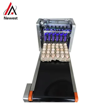 6 lines eggs inkjet printer date code, egg ink jet printer,egg bar code inkjet printer
6 lines eggs inkjet printer date code, egg ink jet printer,egg bar code inkjet printer