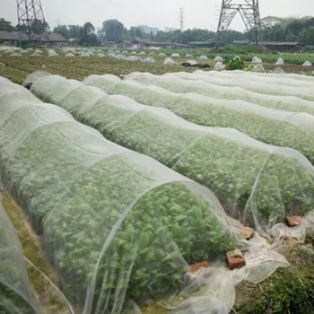 Mosquito Garden Bug Screen Netting Insect Barrier Bird Net Plant Protect Mesh Orrosion-resistant Anti-aging
Mosquito Garden Bug Screen Netting Insect Barrier Bird Net Plant Protect Mesh Orrosion-resistant Anti-aging