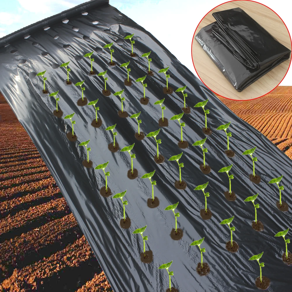 Agriculture Mulch Pre-punched Hole Plastic Film Greenhouse Weeds Control Mylar Strawberry Vegetable Nursery Planting Tools
Agriculture Mulch Pre-punched Hole Plastic Film Greenhouse Weeds Control Mylar Strawberry Vegetable Nursery Planting Tools