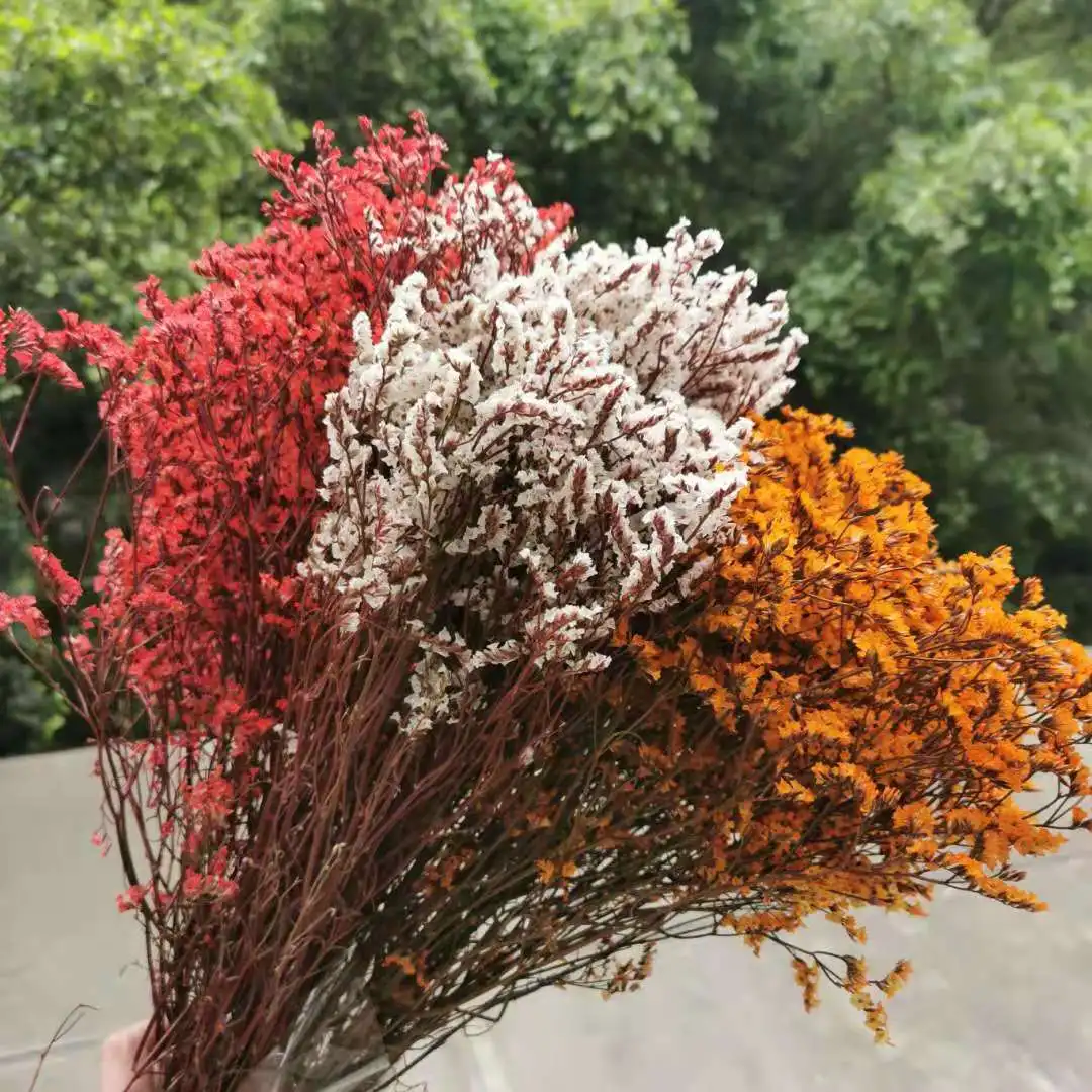 2 Bouquet,25g/Bouquet,Natural Preserved Crystal grass,DriedFlower for Wedding Party Home Decoration accessories,Display flowers
2 Bouquet,25g/Bouquet,Natural Preserved Crystal grass,DriedFlower for Wedding Party Home Decoration accessories,Display flowers