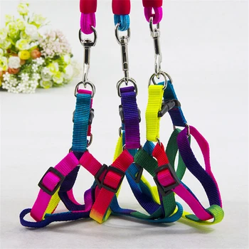 Colorful Adjustable Pet Cat Kitten Leashes Rainbow Harness Lead for Small Puppy Dogs Cats Outdoor Collar Belt Leash Rope
Colorful Adjustable Pet Cat Kitten Leashes Rainbow Harness Lead for Small Puppy Dogs Cats Outdoor Collar Belt Leash Rope