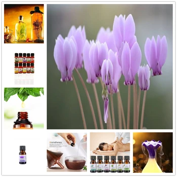 Pure Natural Cyclamen Aromatherapy Essential Oils Anti-stress Aroma Diffuser Oil High Effective Enhance Desire Improve mood
Pure Natural Cyclamen Aromatherapy Essential Oils Anti-stress Aroma Diffuser Oil High Effective Enhance Desire Improve mood