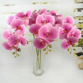 Large 8-Flower Print Butterfly Orchid Floor Artificial Flowers Artificial Flowers Single Artificial Butterfly Orchid
Large 8-Flower Print Butterfly Orchid Floor Artificial Flowers Artificial Flowers Single Artificial Butterfly Orchid