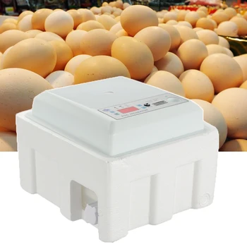 220V 110V 16 Eggs Incubator Brooder Bird Quail Incubator Chick Hatchery Poultry Hatcher Turner Automatic Farm Incubation Tools
220V 110V 16 Eggs Incubator Brooder Bird Quail Incubator Chick Hatchery Poultry Hatcher Turner Automatic Farm Incubation Tools