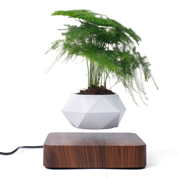 Levitating Air Bonsai Pot Rotation Planters Magnetic Suspension Flower Floating Pot Potted Plant Desk Decor Floating Pot Planter
Levitating Air Bonsai Pot Rotation Planters Magnetic Suspension Flower Floating Pot Potted Plant Desk Decor Floating Pot Planter