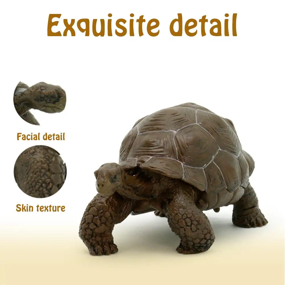 3 Inch Sea Life Simulation Animal Model Galapagos Tortoise Turtle Model Figure Animal Toy Educational Collection Gift For Kids
3 Inch Sea Life Simulation Animal Model Galapagos Tortoise Turtle Model Figure Animal Toy Educational Collection Gift For Kids