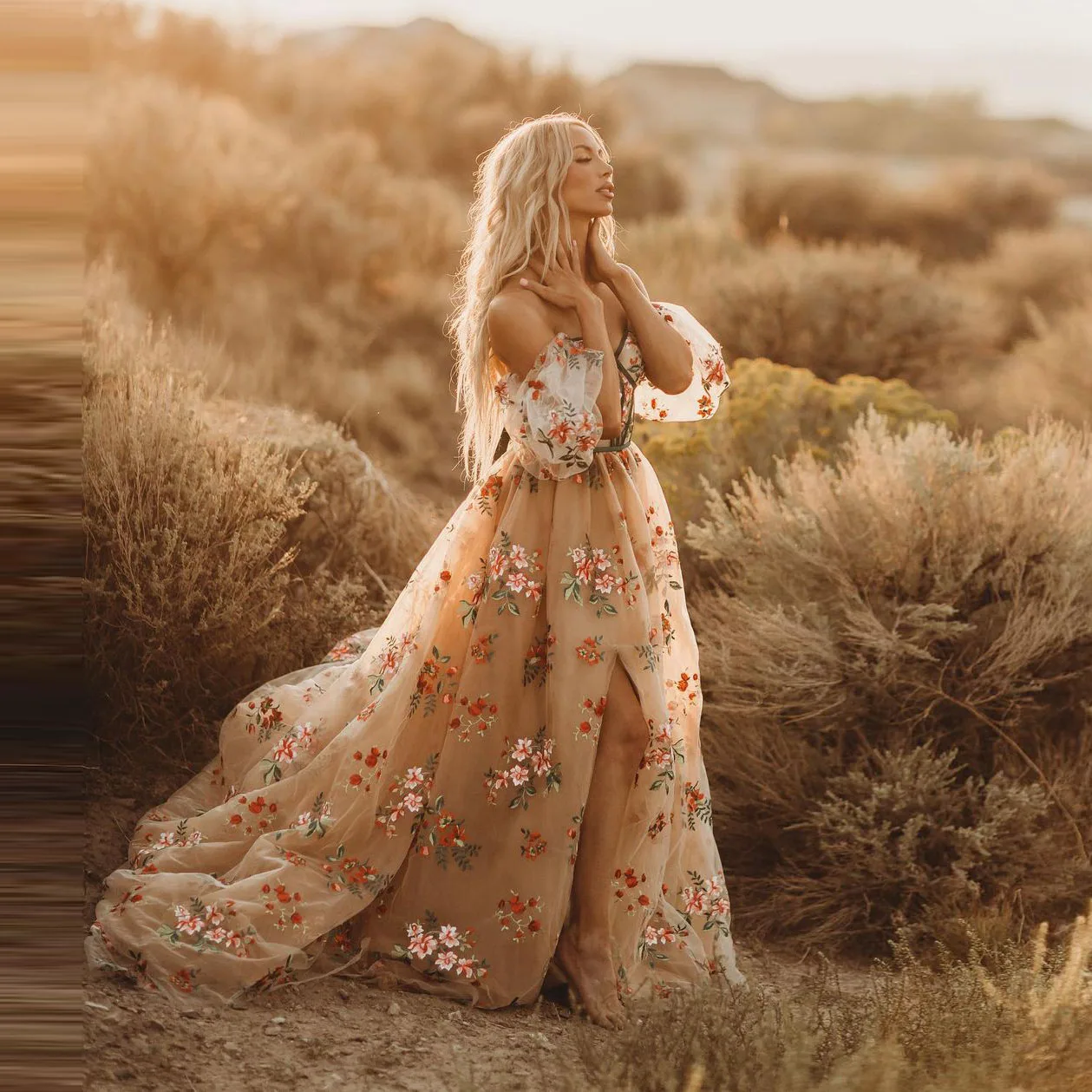 Champagne Elegant Exquisite Casual Women Dress Tulle Floor Length Floor Length High Split Evening Dress Prom Dress Plus Size
Champagne Elegant Exquisite Casual Women Dress Tulle Floor Length Floor Length High Split Evening Dress Prom Dress Plus Size