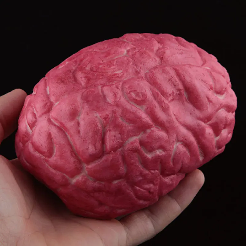 Cosplay&ware Halloween Horror Decoration Broken Finger Hand Bloody Scary Fake Leg Foot Brain Heart Prop 15 Cosplay&ware Halloween Horror Decoration Broken Finger Hand Bloody Scary Fake Leg Foot Brain Heart Prop -Cosplayware Store H7ef22844a0db471e8440293fd62ca235m.jpg