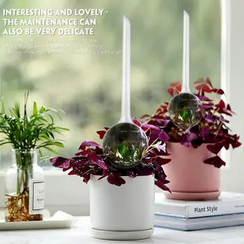 20pcs Self-Watering System Plastic Equipment Automatic Watering Globes Sprinklers Flower Watering Device Outdoors Irrigation Hot
20pcs Self-Watering System Plastic Equipment Automatic Watering Globes Sprinklers Flower Watering Device Outdoors Irrigation Hot