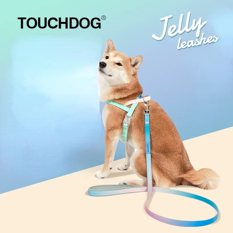 PVC Designer dog leash and collar set Chest back suit Jelly gradient Large medium puppy harness fashion accessories
PVC Designer dog leash and collar set Chest back suit Jelly gradient Large medium puppy harness fashion accessories