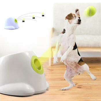 Dog pet toys Tennis Launcher Automatic throwing machine Ball throw device Section emission dog for small dogs 220V/110V plug
Dog pet toys Tennis Launcher Automatic throwing machine Ball throw device Section emission dog for small dogs 220V/110V plug