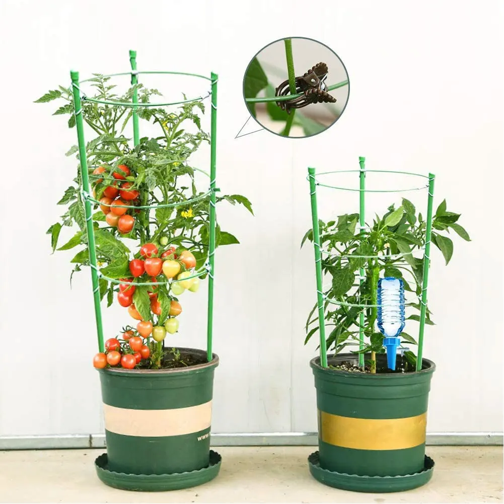 2Pcs Plant Support Climbing Vine Rack Plant Potted Support Frame Plastic Coated Steel Flower Vegetables Decor Trellis Bracket
2Pcs Plant Support Climbing Vine Rack Plant Potted Support Frame Plastic Coated Steel Flower Vegetables Decor Trellis Bracket