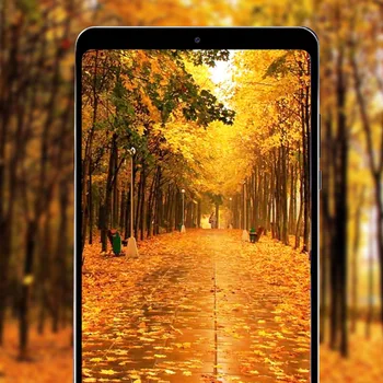HD Clear Scratchproof Anti-fingerprint Tempered Glass Screen Protector Protective Film for Xiaomi Mi Pad 4 8inch Mi4 8" Tablet
HD Clear Scratchproof Anti-fingerprint Tempered Glass Screen Protector Protective Film for Xiaomi Mi Pad 4 8inch Mi4 8" Tablet