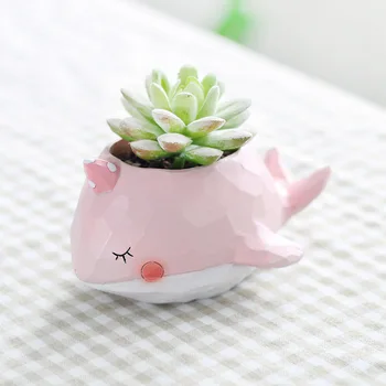Cute Crocodile Whale Cute Cartoon Resin Flower Pots Elephant Animals Succulent Plant Pots Planters for Succulents
Cute Crocodile Whale Cute Cartoon Resin Flower Pots Elephant Animals Succulent Plant Pots Planters for Succulents