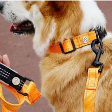 Traction Rope Collar Reflective Bite-resistant Explosion Proof Good Craftsmanship Nylon Walking Safety Leashes for Puppy
Traction Rope Collar Reflective Bite-resistant Explosion Proof Good Craftsmanship Nylon Walking Safety Leashes for Puppy