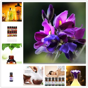 10ML 12 Flavors Nerium Oleander Essential Oil for Diffuser Aromatherapy 100% Pure Natural Essential Oils Help Fast Sleep TSLM12
10ML 12 Flavors Nerium Oleander Essential Oil for Diffuser Aromatherapy 100% Pure Natural Essential Oils Help Fast Sleep TSLM12