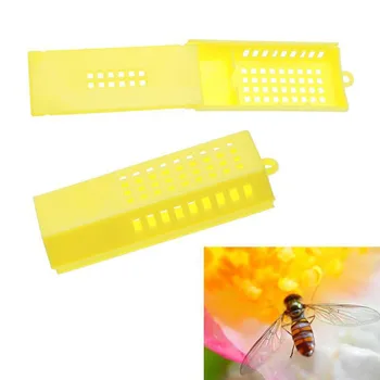 10pcs Bee Tools Beekeeping Transport Cages Queen Bee Cages Hive Yellow Bee Isolated Cage Beekeeping Equipment Wholesales
10pcs Bee Tools Beekeeping Transport Cages Queen Bee Cages Hive Yellow Bee Isolated Cage Beekeeping Equipment Wholesales