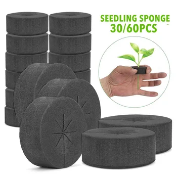 Garden Clone Collars Neoprene Inserts Sponge Block for 2 Inch Net Pots Hydroponics Systems and Cloning Machines
Garden Clone Collars Neoprene Inserts Sponge Block for 2 Inch Net Pots Hydroponics Systems and Cloning Machines