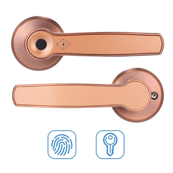 Intelligent Fingerprint Lock Set Keyless Door Lever Electronic Biometric Anti-Theft Hardware Door Locks with Deadbolt for Home
Intelligent Fingerprint Lock Set Keyless Door Lever Electronic Biometric Anti-Theft Hardware Door Locks with Deadbolt for Home