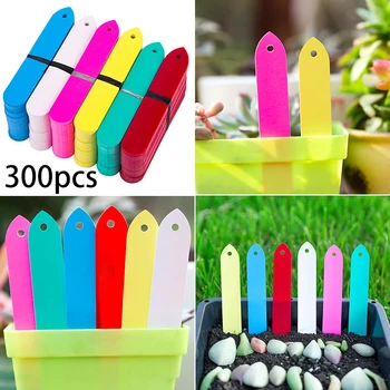 300Pcs/Set Plastic Green Plant Flower Label Pot Marker Garden Stake Tags 10*2cm For Home Garden Supplies 2020 Newest
300Pcs/Set Plastic Green Plant Flower Label Pot Marker Garden Stake Tags 10*2cm For Home Garden Supplies 2020 Newest