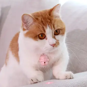 Pet Cat Collar Cute Cat Bell Collar Laser Interactive Collar for Cats Small Dogs Puppy Neck Strap Pet supplies
Pet Cat Collar Cute Cat Bell Collar Laser Interactive Collar for Cats Small Dogs Puppy Neck Strap Pet supplies