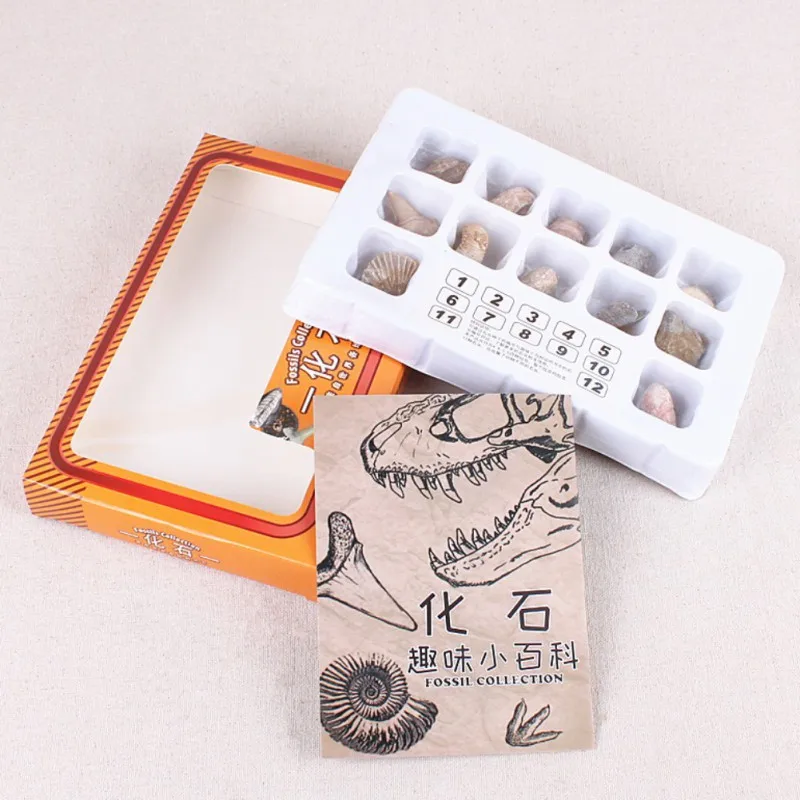 XOC3051 (6)