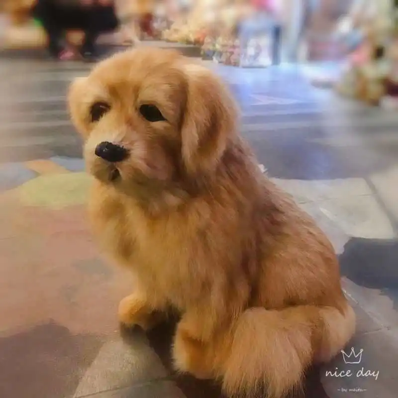 Realistic Dog Animal Models Soft Simulation Labrador Kids Toy Birthday Xmas Gift Home Shop Decoration Shooting Props
Realistic Dog Animal Models Soft Simulation Labrador Kids Toy Birthday Xmas Gift Home Shop Decoration Shooting Props
