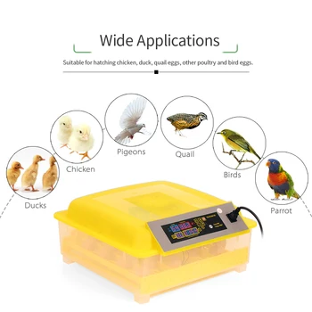 New 48-Eggs Intelligent Automatic Egg Incubator Digital Temperature Control Hatcher for Chicken Duck Bird AC110-220V Egg Incubat
New 48-Eggs Intelligent Automatic Egg Incubator Digital Temperature Control Hatcher for Chicken Duck Bird AC110-220V Egg Incubat
