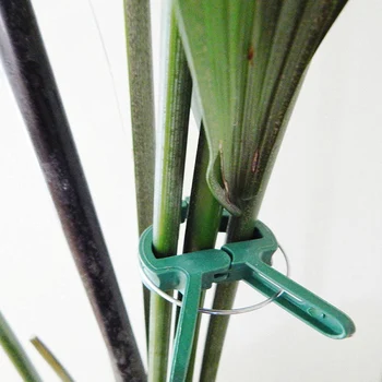20pcs/set Sprung Plastic Garden Plant Flower Vegetable Securing Bush Clips 45MM & 30MM Ties
20pcs/set Sprung Plastic Garden Plant Flower Vegetable Securing Bush Clips 45MM & 30MM Ties