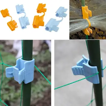 10pcs/lot Pipe Clamp Greenhouse Film Frame Vegetable Fruit Cover Insect Net Sunshade Net Fixing Clamp Clip Home Garden Tools
10pcs/lot Pipe Clamp Greenhouse Film Frame Vegetable Fruit Cover Insect Net Sunshade Net Fixing Clamp Clip Home Garden Tools