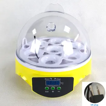 Automatic 7 Eggs Turning Incubator Temperature Control Chicken Hatcher Incubation Tool UK/EU/US Plug
Automatic 7 Eggs Turning Incubator Temperature Control Chicken Hatcher Incubation Tool UK/EU/US Plug