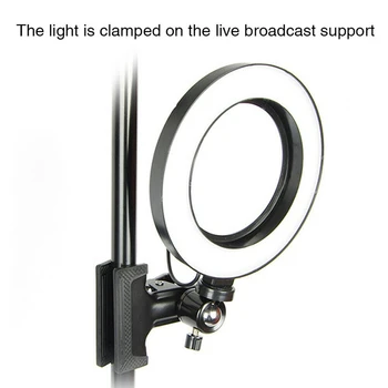10 Inch Selfie Ring Light with Rotary Clip & Phone Holder for Makeup Live Stream, LED Camera Ring Light
10 Inch Selfie Ring Light with Rotary Clip & Phone Holder for Makeup Live Stream, LED Camera Ring Light