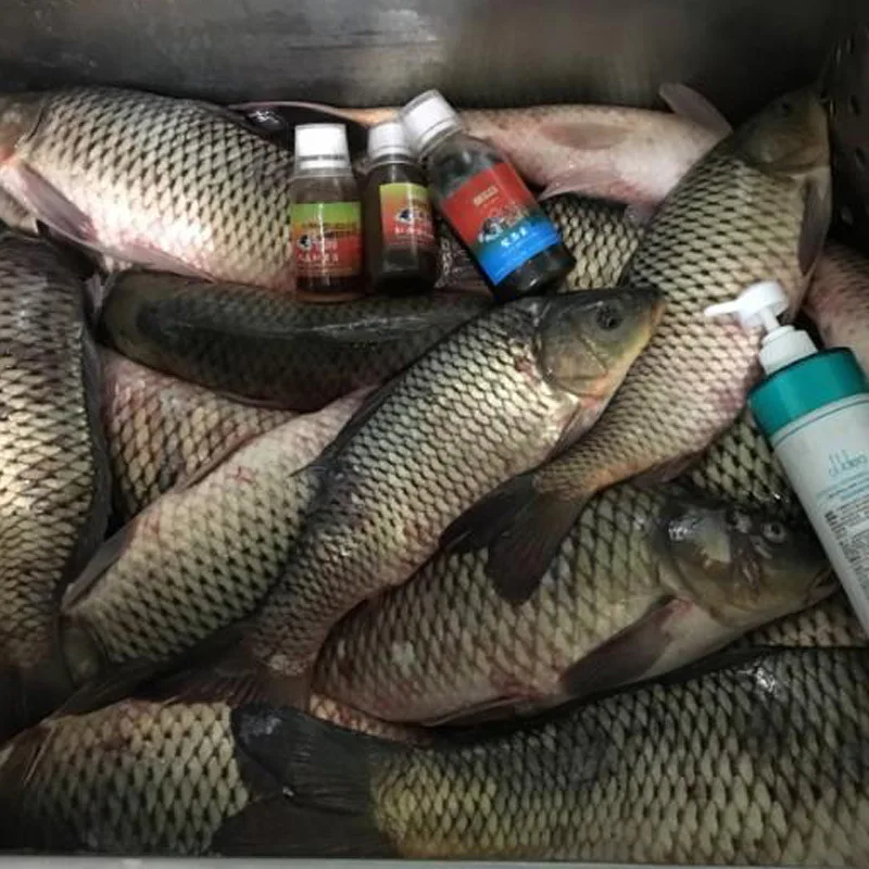 Fishing Carp Fish of Eternal Small Black Hole Get Together Carp Additive Lure Fish Agent Black Carp Small Yue in
Fishing Carp Fish of Eternal Small Black Hole Get Together Carp Additive Lure Fish Agent Black Carp Small Yue in