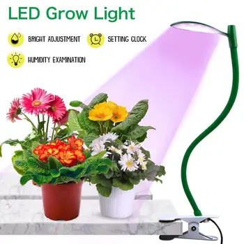 Full Spectrum LED Plant Grow Light with Clip Smart Controller with Timing Function Humidity Sensor Set Adjustable lighting
Full Spectrum LED Plant Grow Light with Clip Smart Controller with Timing Function Humidity Sensor Set Adjustable lighting