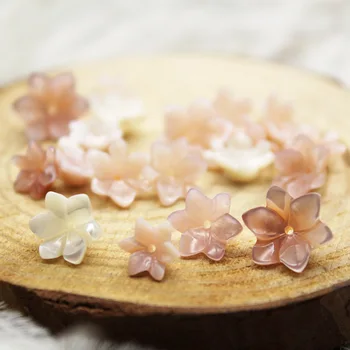 5pcs / bag natural mother-of-pearl ladies fashion lily shell beads jewelry making DIY hair clip earrings jewelry accessories
5pcs / bag natural mother-of-pearl ladies fashion lily shell beads jewelry making DIY hair clip earrings jewelry accessories