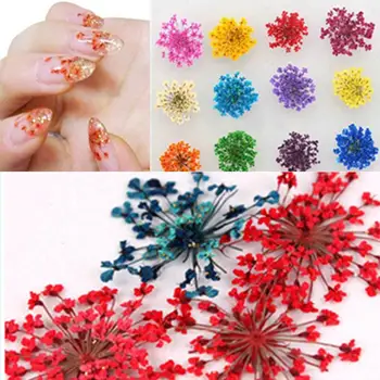 12 Colors Rainbow Nail Art Real Natural Plant Petal Flower Nail For UV Tip 3D Hot Gel Effect Decorations Selling Salon Dry P7B6
12 Colors Rainbow Nail Art Real Natural Plant Petal Flower Nail For UV Tip 3D Hot Gel Effect Decorations Selling Salon Dry P7B6